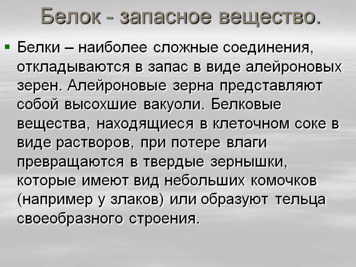 Пользователь не найден при входе на кракен